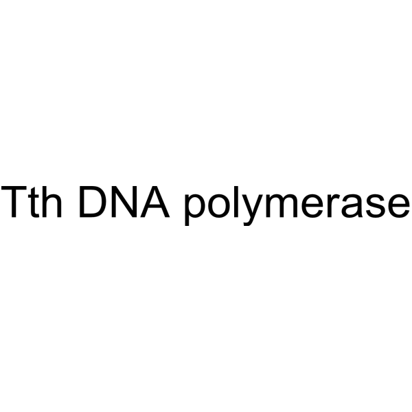 Tth DNA polymerase 2409055-60-1